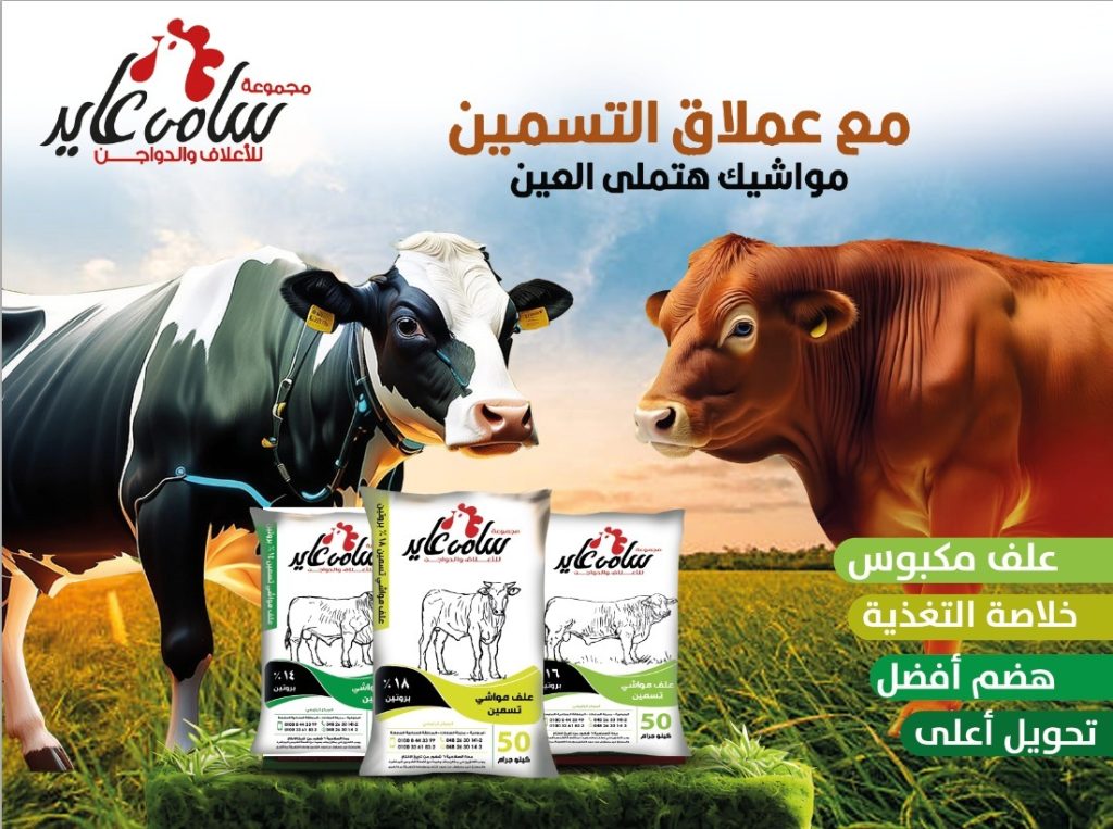 اللي جربه عارف قيمته. علف التسمين من سامي عايد